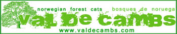 Val De Cambs