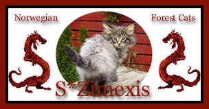 S* Zimexis Cattery