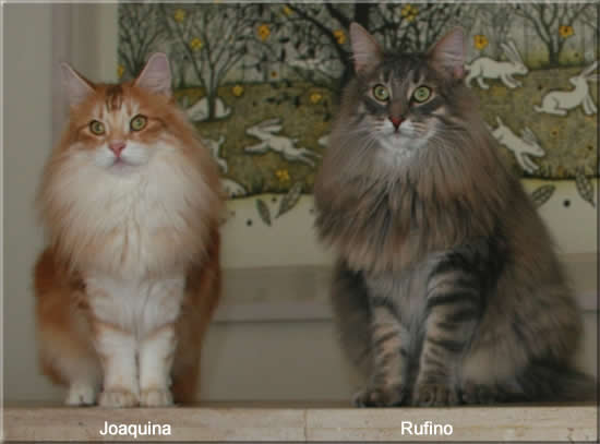 Rufino y Joaquina