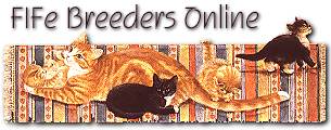 FIFé Breeders Online