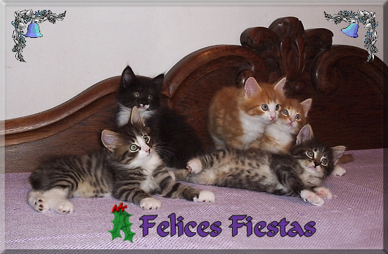 Felices Fiestas - Merry Christmas !!!